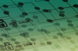 Animate.css – CSS Animations For Dummies