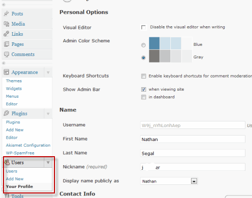 Customizing Your WordPress Installation