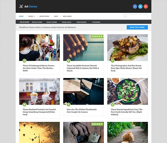 MyTheme WordPress Themes