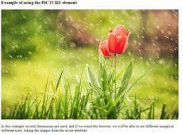 Working with HTML Images | HTMLGoodies.com