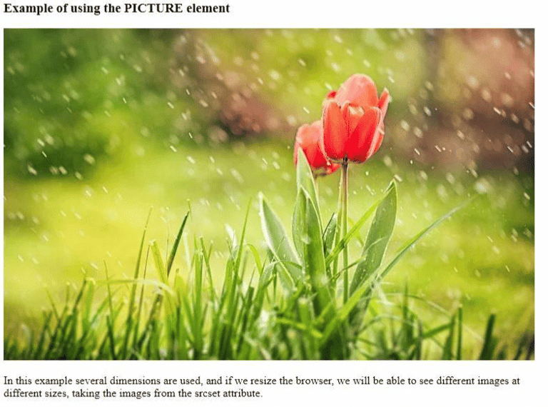 Working with HTML Images | HTMLGoodies.com